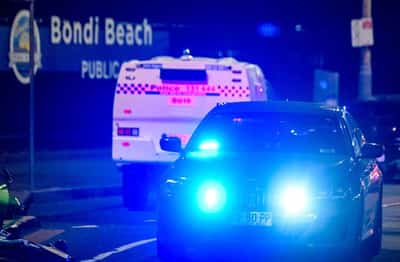 Image for Bystander who tackled armed man at Bondi Beach shooting hailed as hero