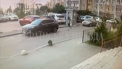 Image for Ukrainian spy colonel gunned down in Kyiv, assailant flees