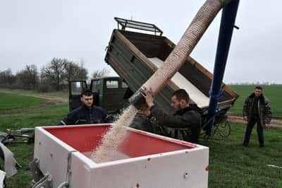 Image for Analysis-Iran war fertiliser squeeze could spell trouble for next year's grain harvests
