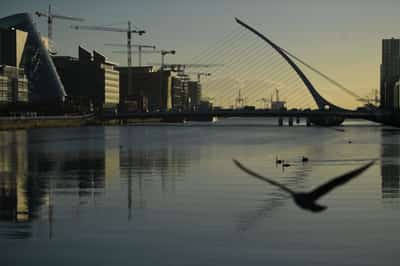 Image for Irish corporate tax set for further short-term boost, fiscal watchdog says