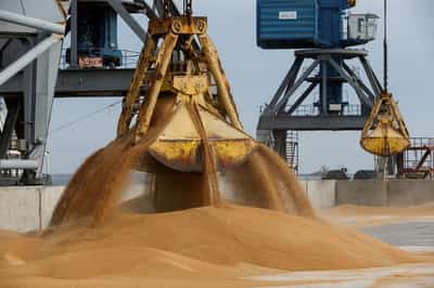 Image for Ukraine calls for EU sanctions on Bangladeshi entities for import of 'stolen grain'