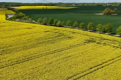 Image for Germany on track for 2030 climate goal, future targets at risk, government advisers say