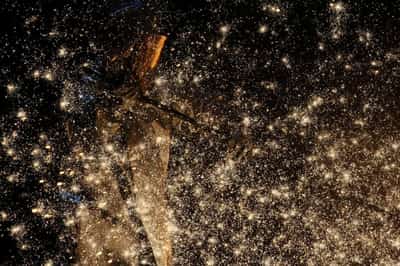 Image for Thyssenkrupp warns of deep net loss in 2026 on steel restructuring costs