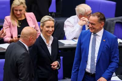 Image for Germany's far-right AfD harbours growing number of extremists, spy agency reports