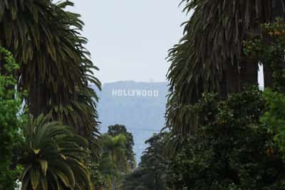 Image for Trump says US to impose 100% tariff on movies made outside the country