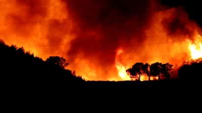 Image for Extreme weather could cause 5% drop in euro zone GDP, bank watchdogs find