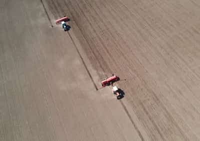 Image for Confusion over documents halts Ukrainian rapeseed, soybeans exports, union says