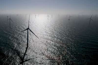 Image for German minister flags risks to tenders as offshore auctions draw no bids