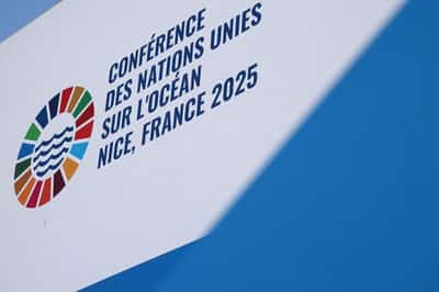 Image for Investors want clear ocean management rules to scale up funding